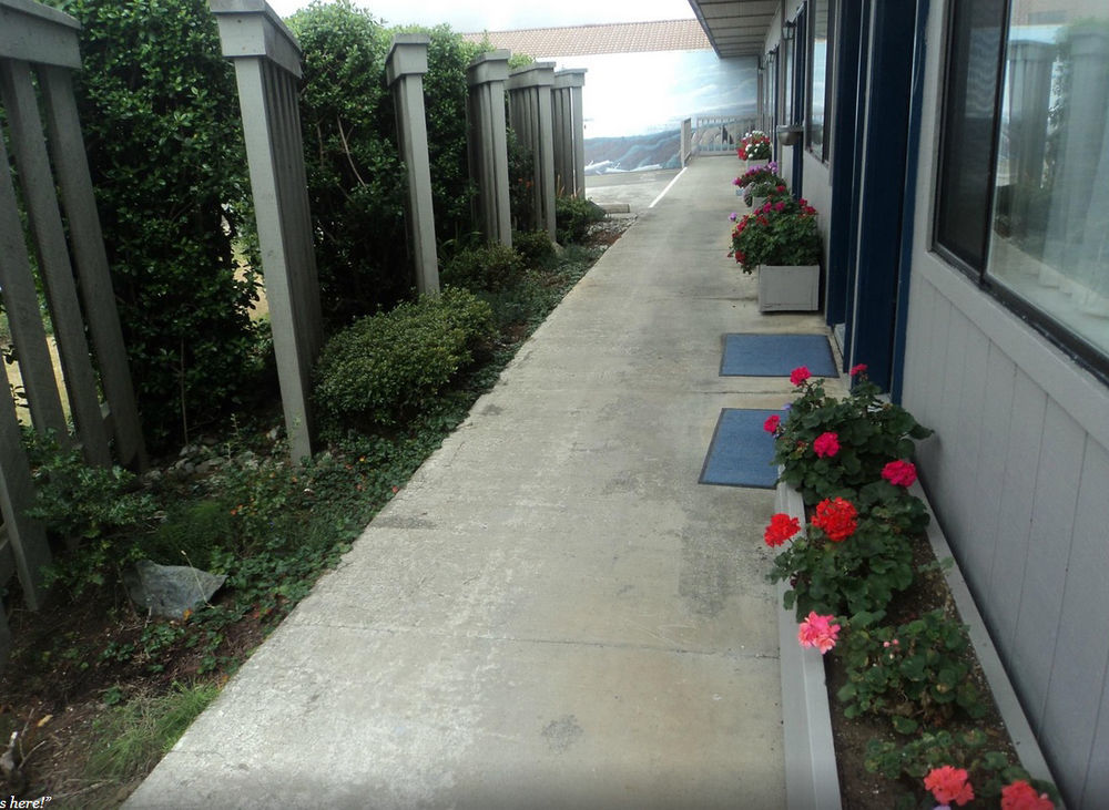 Lighthouse Cove Inn Bandon Dış mekan fotoğraf A view of the side of the hotel